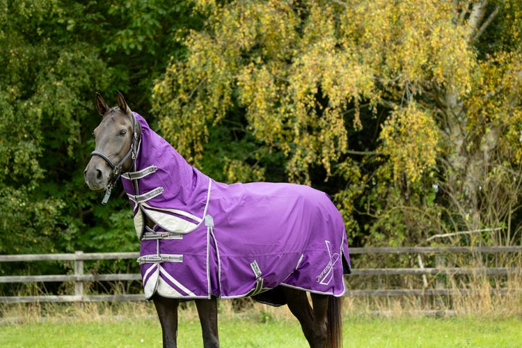 DefenceX Shield 100g Turnout Rug with Detachable Neck image 2